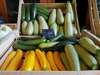 Courgettes
