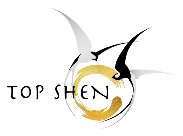 Logo Top shen