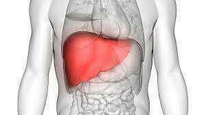 La stéatose hépatique non alcoolique