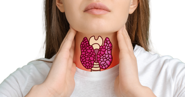L’hypothyroïdie : une pathologie en progression et souvent sous diagnostiquée.