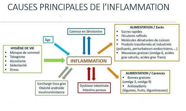L’inflammation De Bas Grade ( IBG)