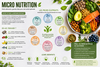 nutriments essentiels pour l'énergie et l'équilibre