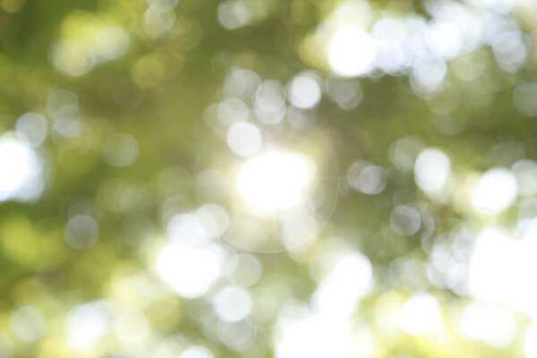 FORMATION MAGNETISME