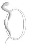 Logo Jean Paul Corot