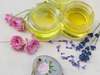 solutions pour l’extermination des punaises de lit