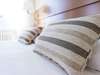 comment trouver punaise de lit