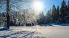 les punaises de lit et le froid