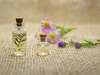 solutions pour l’extermination des punaises de lit