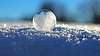 Le froid pour limiter les puces de lit