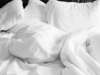 Oeufs de puces de le lit dans les draps