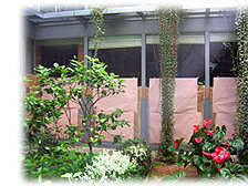 immobilier1__1_20200203-254881-169y0ai