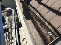 mini_2021-07-0720231106-1563117-1cfwczd