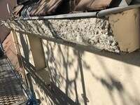 mini_2021-07-0720231106-1563117-1ryvyg