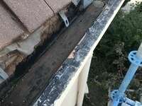 mini_2021-07-0720231106-1563117-2u886b