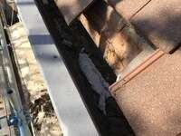 mini_2021-07-0720231106-1563117-25rf1u