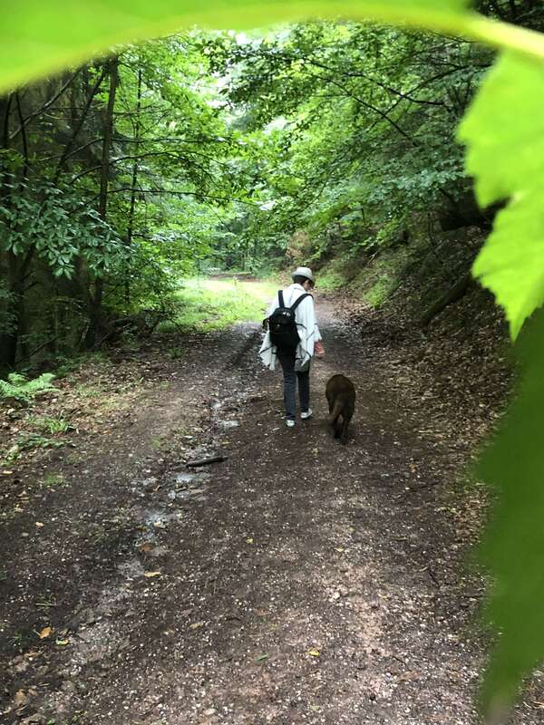 Quitter la "Victimattitude" ou l'art d'être enfin soi