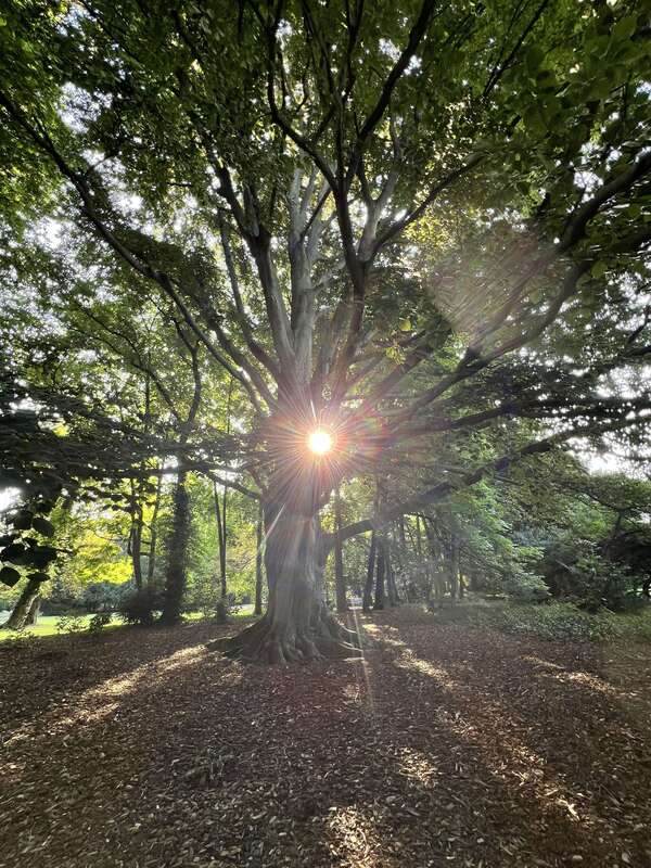 Témoigner ce n’est pas replonger dans la pornographie de la douleur