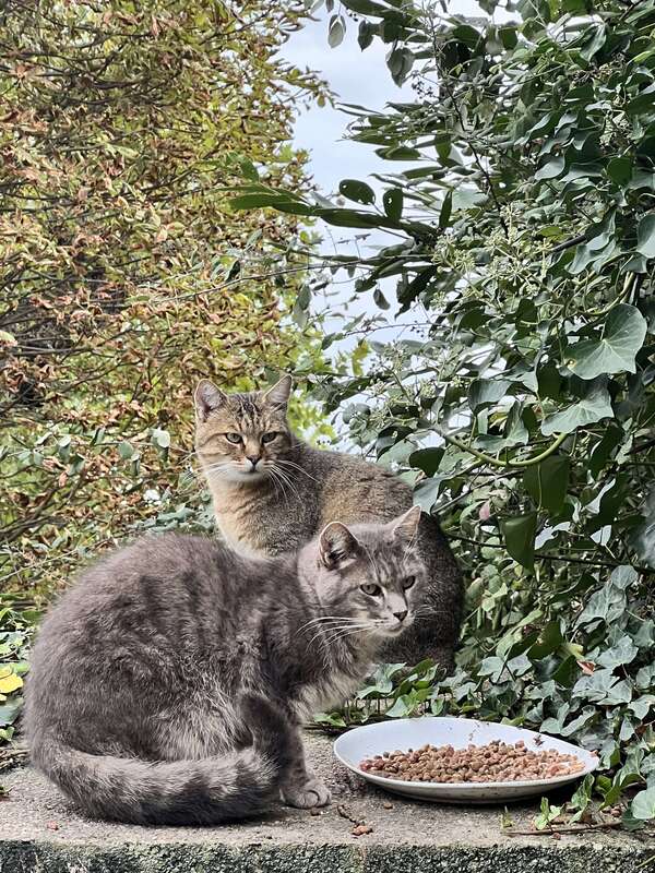 La dimension initiatique de nos épreuves