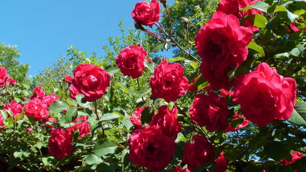 Traverser l’alchimie de sa vie : ce que 2025 m’a appris