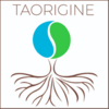 TAORIGINE Constellation familiale et Systémique Idron