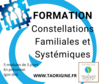 formation animer les constellations familiales