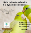 bien-être mimizan villa océan