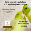 bien-être mimizan villa océan
