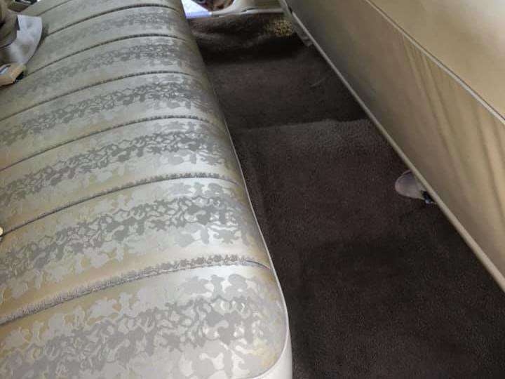 66452126_2377806799165636_6829556092985409536_n