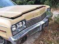 66838889_2377806665832316_7114165639907901440_n