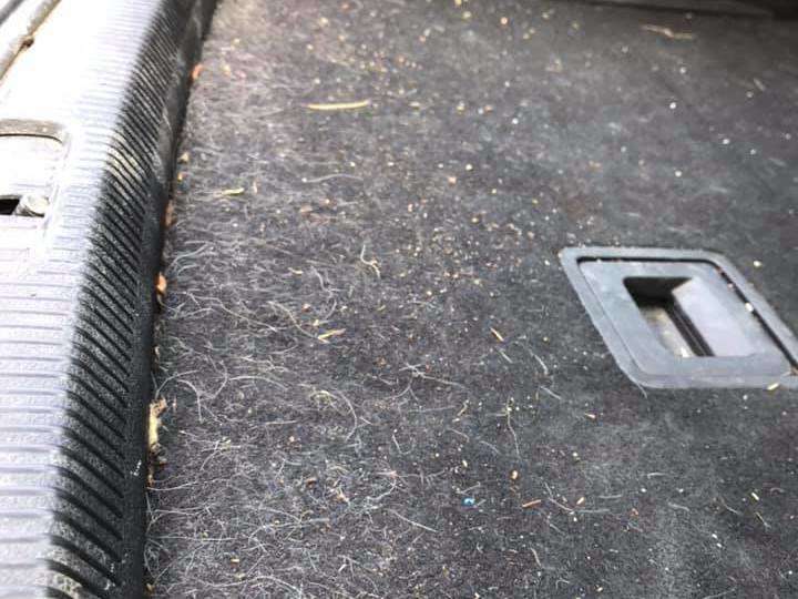 108057744_2686253971654249_307547936387530573_n