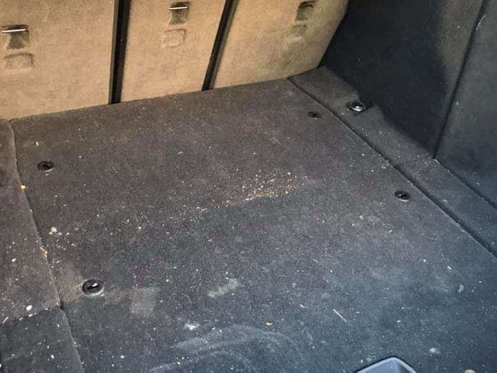 116892738_2703216853291294_5343881199311254248_n