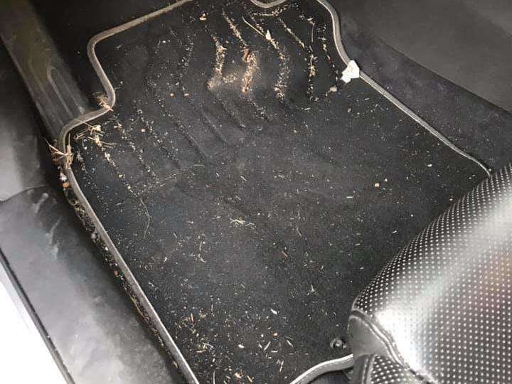 120484122_2757340871212225_2104010394500354118_n