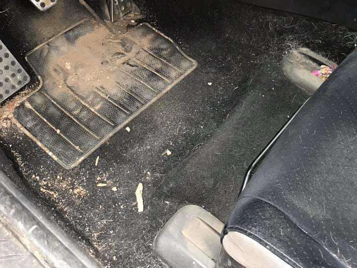 88346920_2578428082436839_9166301310289444864_n