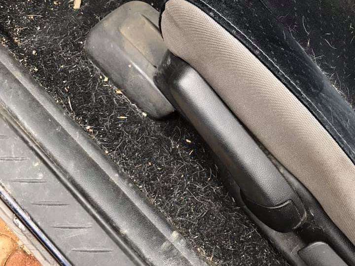 89072015_2578428149103499_2178072563995901952_n