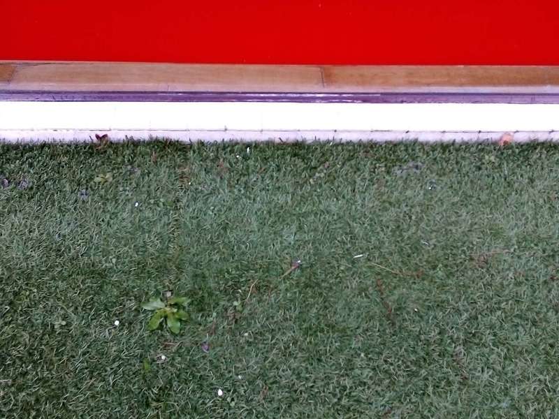 83917142_2003444139801324_6191602232320851968_o_200344413313465820200421-1330253-9u1q0b