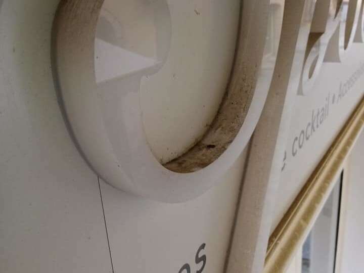 84881240_2017668481712223_3093913067864457216_n_201766847171222420200421-1330253-19uv32m