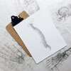 Anatomie corps humain