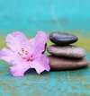 Reiki et soin énergétique pour harmonisation des énergies, relaxation et gestion du stress – praticienne Reiki à Thuir près de Perpignan