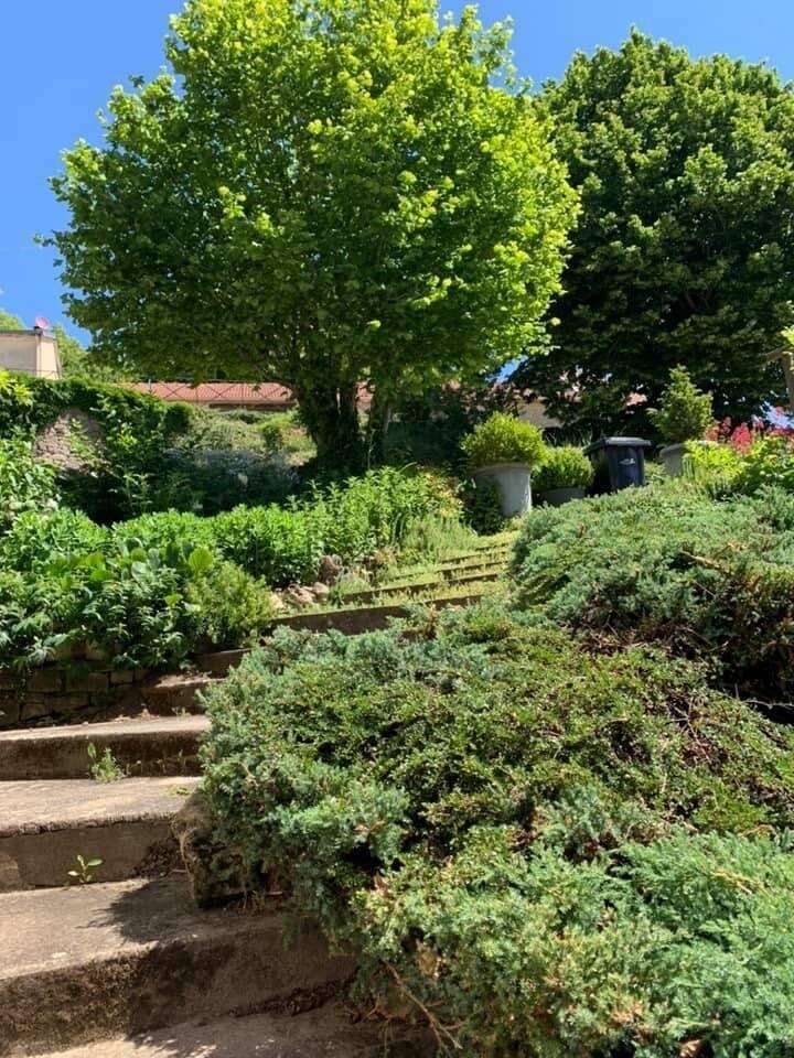 71c012ce-010c-4480-8419-f0a3d12e2f3220220210-3670163-13ac7gb