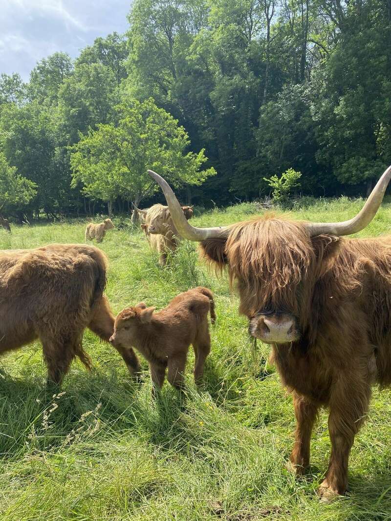 0bd6036b-fe72-416e-bc12-e313872c735520220210-3670163-jl092p