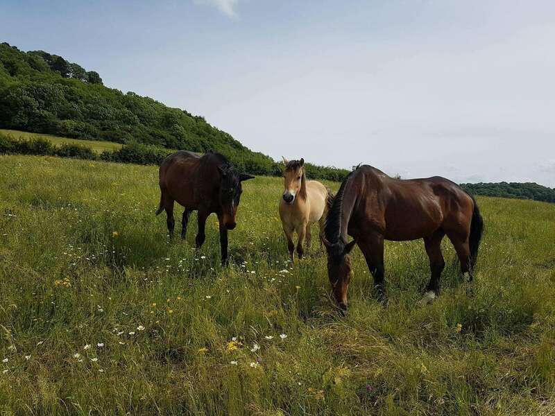 0827adb4-8fa4-4a82-bf33-304c9d48a2f220220210-3670163-5e7l1w