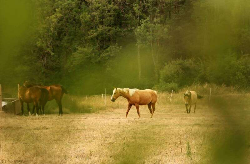 cd88b8bd-ac96-4ebb-8ba7-49a0ae88bc2320220210-3670163-1fj463r