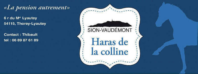 d6f83807-373c-449c-a9b2-93a4ddb47c4b20220210-3670163-ni50t5