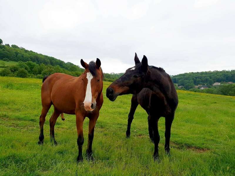 595a0e28-1b1e-46f7-a179-866be7afe94e20220210-3670163-wuqb0m