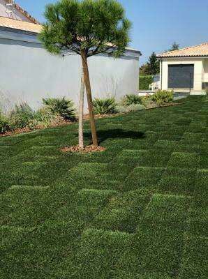 5255302e-4ab0-4dad-b7bd-69c034afc70a