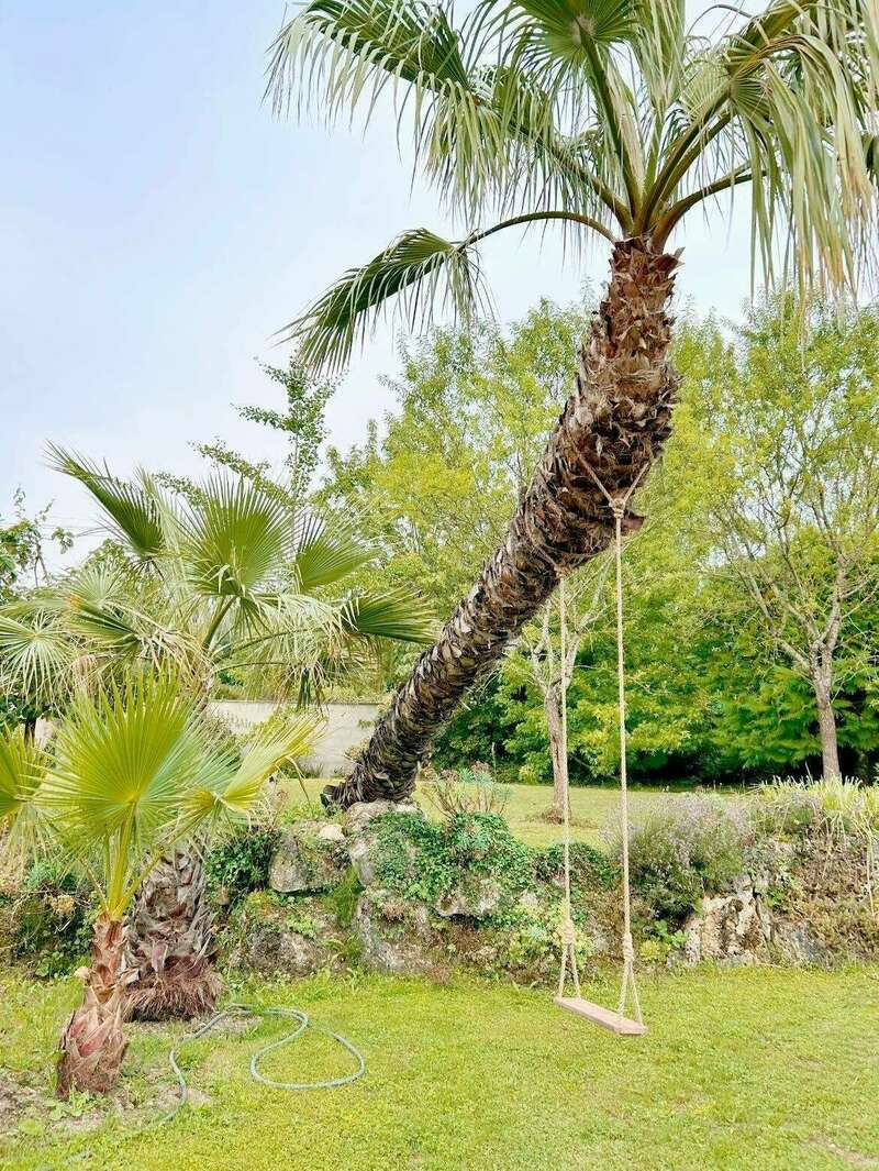 451337281_1018425290289788_2284765084364328680_n