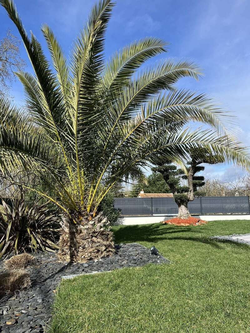 chauveau_quentin__3_