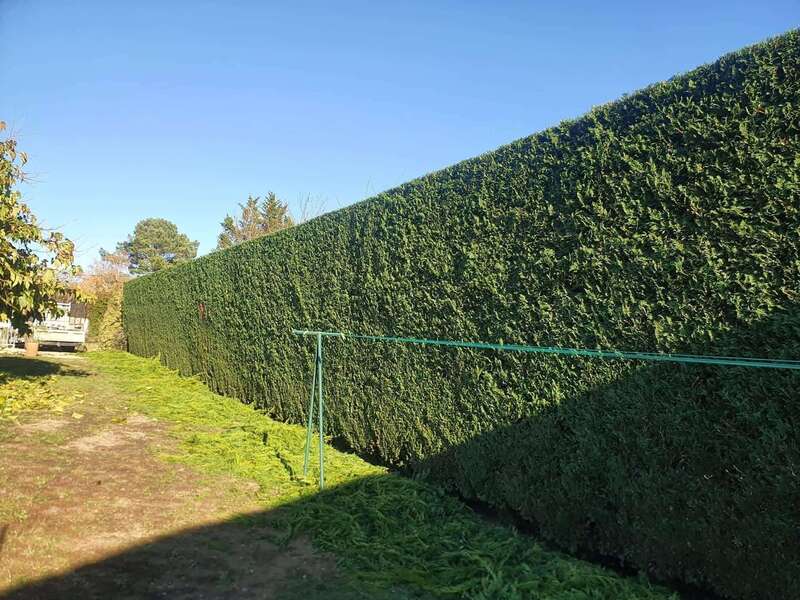 taille__3_20221013-3023778-76ygr7