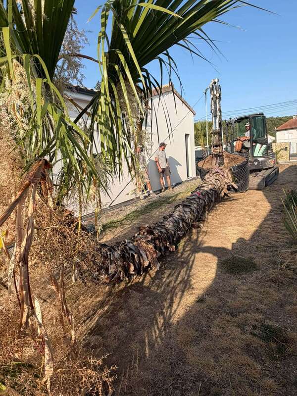 CHANTIER EN COURS - PLANTATIONS