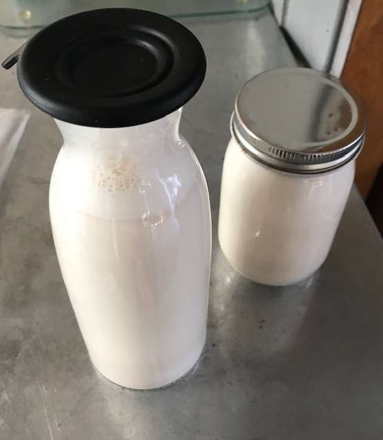 Lait végétal cru maison facile